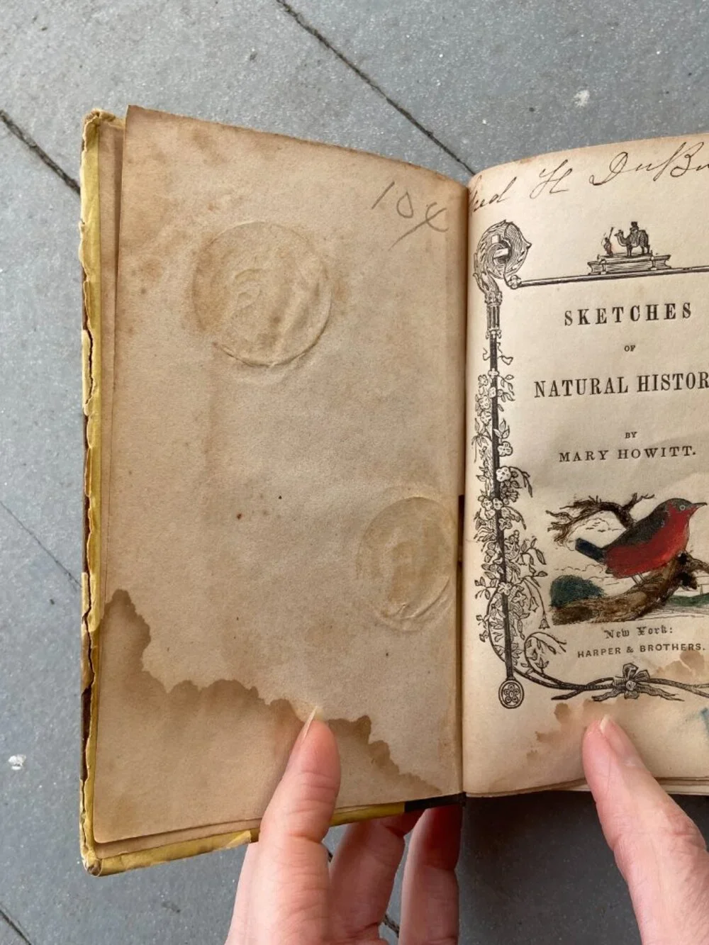 Antique 1847 Mary Howitt Sketches of Natural History Victorian Illustrated Book